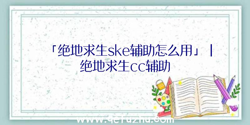 「绝地求生ske辅助怎么用」|绝地求生cc辅助